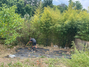 Photo de galerie - Après 