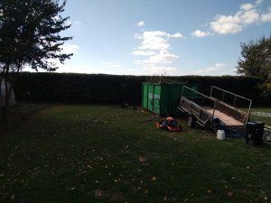 Photo de galerie - Taille de haies et d'arbustes