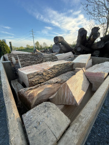 Photo de galerie - Bois de chauffage 