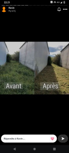 Photo de galerie - Débroussaillage d'un petit terrain 