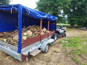 Photo de galerie - Coupe de bois transport 
