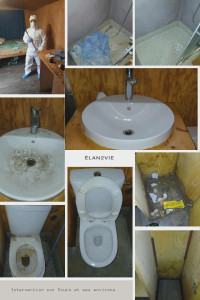 Photo de galerie - ✨ Avant / Après — Nettoyage extrême, résultat impressionnant !
Intervention complète : nettoyage, désinfection et remise en état.
