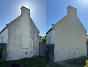 Photo de galerie - Traitement fongicide façade 