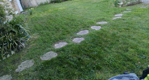 Photo de galerie - Tonte