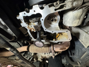 Photo de galerie - Nettoyage crépine + distribution Puretech 