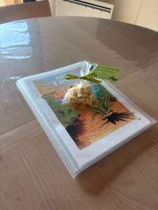 Photo de galerie - Acceuil voyageurs 