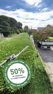 Photo de galerie - Taille de haies et d'arbustes