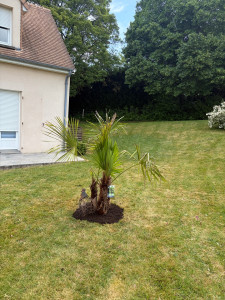 Photo de galerie - Plantation de toute plantes