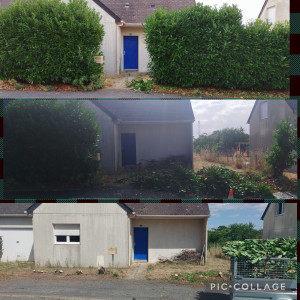 Photo de galerie - Elagage et coupe d'arbres