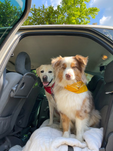 Photo de galerie - Balade Mini