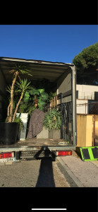 Photo de galerie - Les meubles au fonds séparés des plante grâce à mon sommiers à lattes 