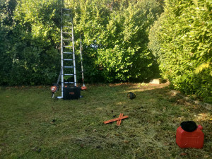 Photo de galerie - Taille de haie 4m50 de hauteur côté intérieur 