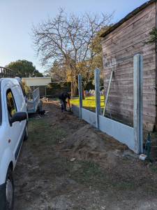 Photo de galerie - Dechaussage d'une haie existante
