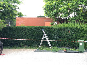 Photo de galerie - Taille d une haie sur 3 faces 