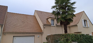 Photo de galerie - Demoussage et nettoyage toiture.