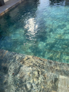 Photo de galerie - Nettoyage  piscine traitement eau 