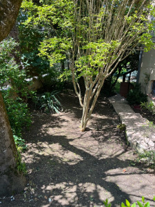 Photo de galerie - Désherbage après 