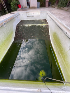 Photo de galerie - Entretien piscine