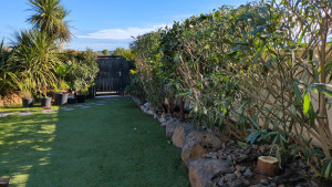 Photo de galerie - Taille de laurier rose