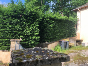 Photo de galerie - Taille de haies et d'arbustes