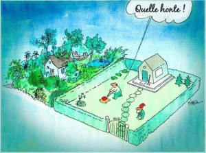 Photo de galerie - Tonte taille élagage 