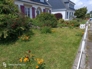 Photo de galerie - Débroussaillage et tonte et parterre de 
 fleurs 