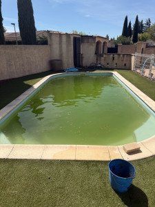 Photo de galerie - Piscine avant remise en route 