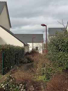 Photo de galerie - Paysagiste - Aménagement du jardin