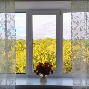 Photo de galerie - Fenêtre simple ouvrant, deux fixes