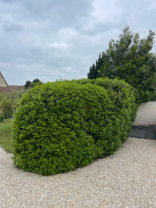 Photo de galerie - Avant