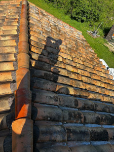 Photo de galerie - Traitement de toiture anti mousse Avant 