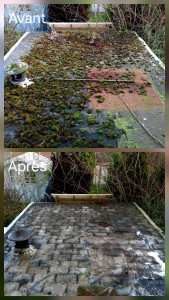 Photo de galerie - Nettoyage complet des mousses et lichens, suivi de l’application d’un traitement anti-mousse. roissy-en-Brie 