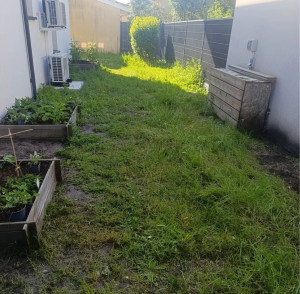 Photo de galerie - Avant gazon de placage 