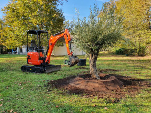 Photo de galerie - Paysagiste - Aménagement du jardin