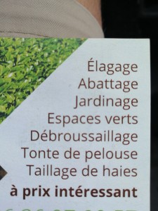 Photo de galerie - Elagage et coupe d'arbres