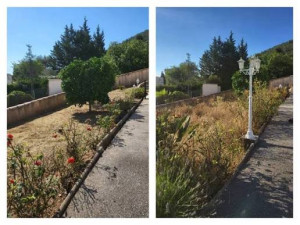 Photo de galerie - Entretien de jardin avant et après