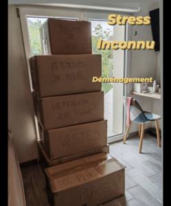 Photo de galerie - J'ai aidé un client à préparer ses cartons de déménagement avec une aide au tri en amont 