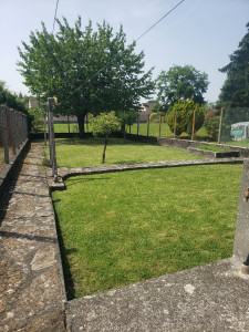 Photo de galerie - Tonte et rotofil pour un petit jardin