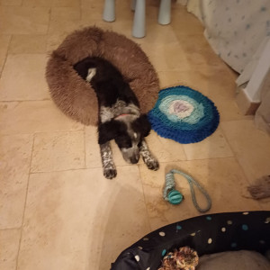 Photo de galerie - Accueilli 1 mois