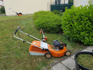 Photo de galerie - Tonte de pelouse - Débroussaillage
