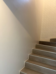 Photo de galerie - Peinture - Tapisserie