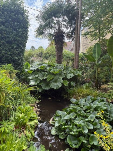 Photo de galerie - Paysagiste - Aménagement du jardin