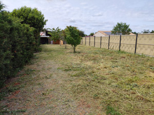 Photo de galerie - Tonte de pelouse - Débroussaillage