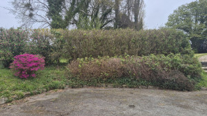 Photo de galerie - Visuel après taille 