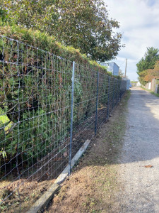 Photo de galerie - Taille haie et pose grillage 
