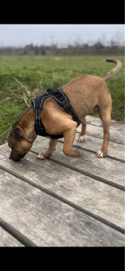 Photo de galerie - Petite balade et une bonne douche en rentrant !