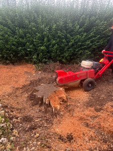 Photo de galerie - Rogneuse de souche 