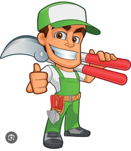 Photo de galerie - ____