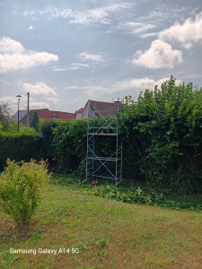 Photo de galerie - Taille de haie 