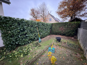 Photo de galerie - Taille de haie